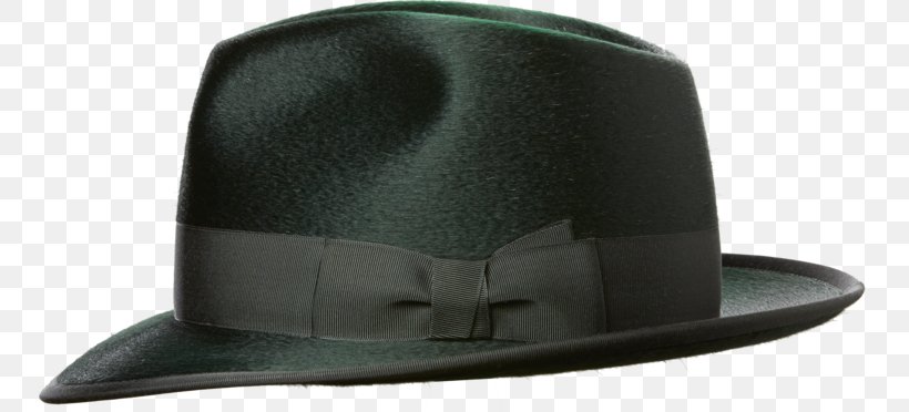 Hat Product Design, PNG, 750x372px, Hat, Headgear Download Free