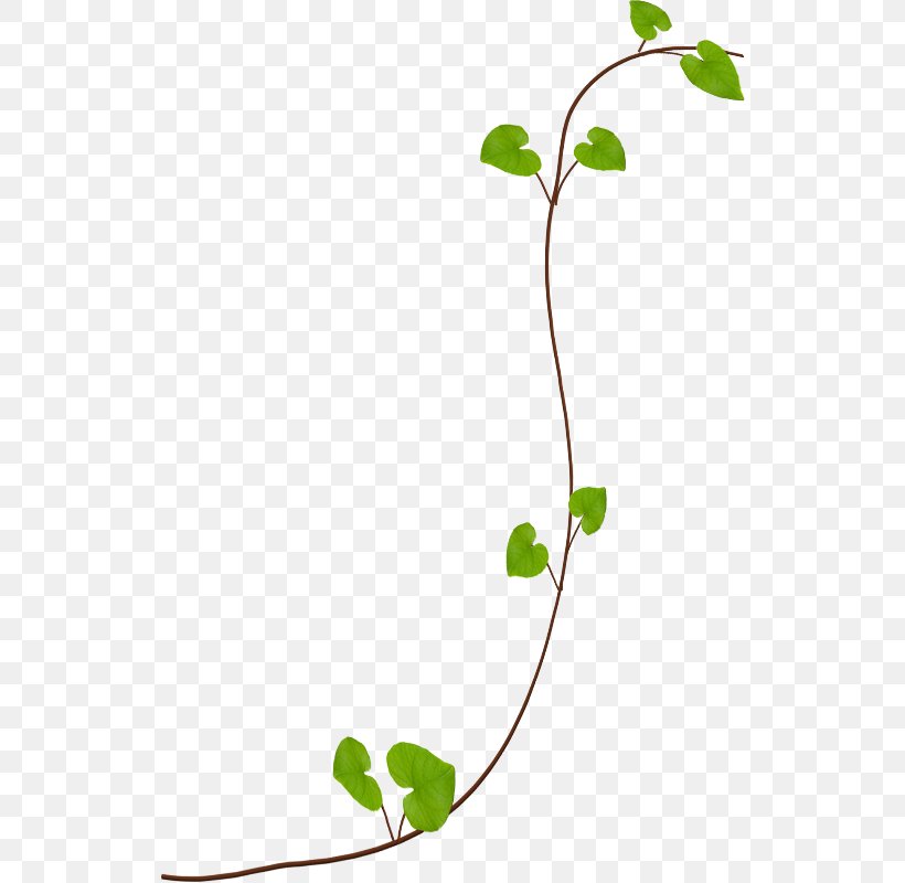 Leaf Animaatio Clip Art, PNG, 530x800px, Leaf, Animaatio, Baner, Branch, Flora Download Free