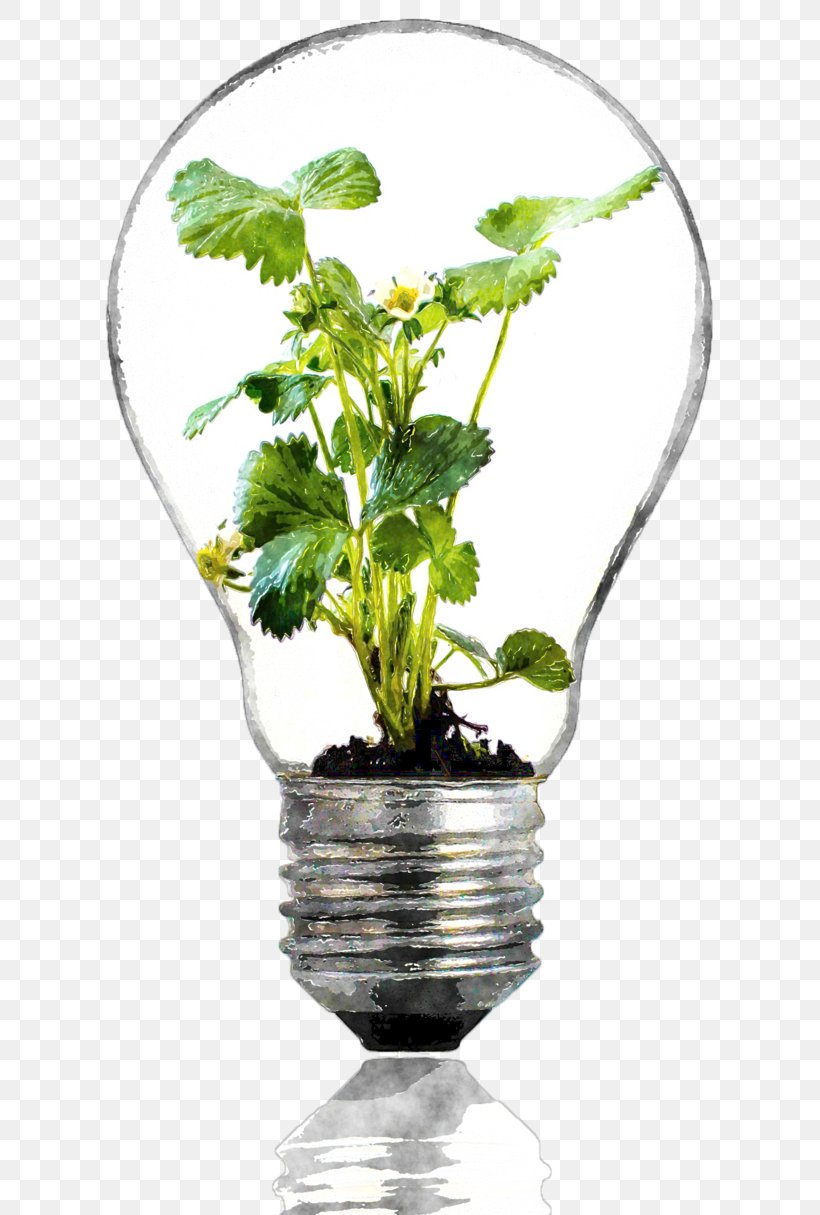 Incandescent Light Bulb Summer Bulbs Grow Light Plant, PNG, 658x1215px, Incandescent Light Bulb, Bulb, Compact Fluorescent Lamp, Energy Conservation, Environmentally Friendly Download Free