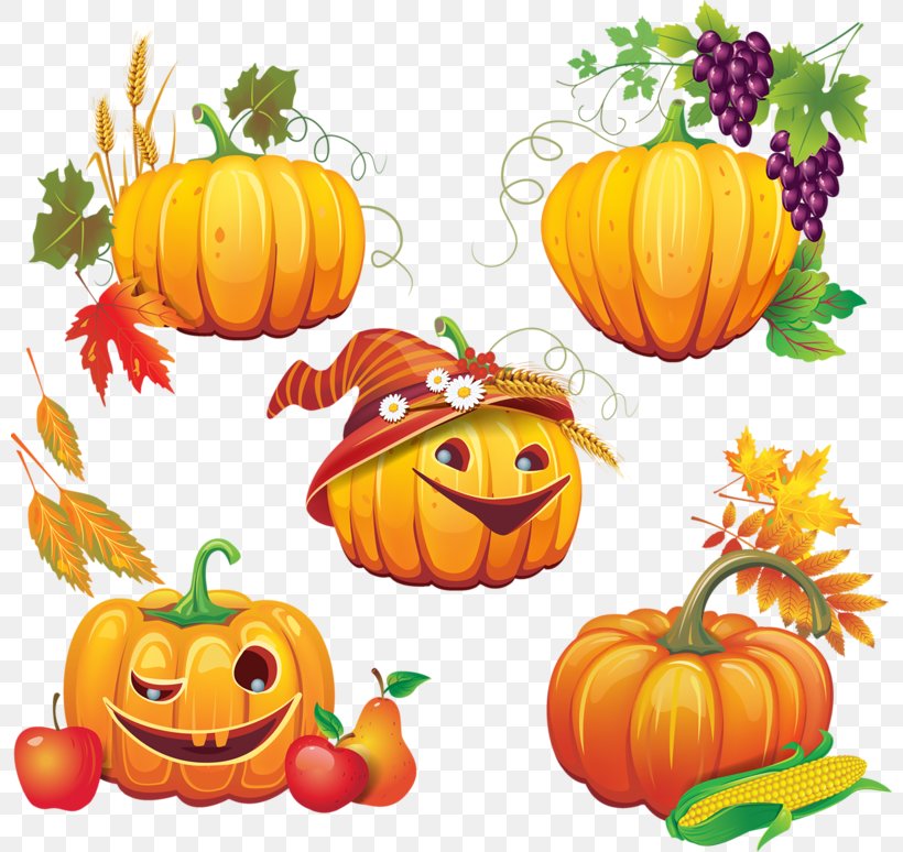 Pumpkin, PNG, 800x774px, Pumpkin, Calabaza, Clip Art, Cucurbita, Food Download Free