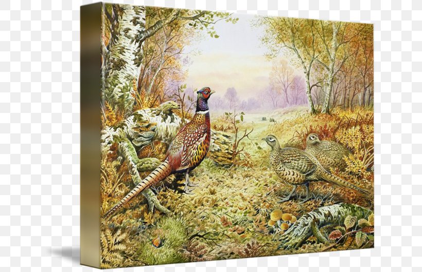 Wildlife Woodland Painting Ecosystem Fauna, PNG, 650x530px, Wildlife, Art, Canvas, Ecosystem, Fauna Download Free