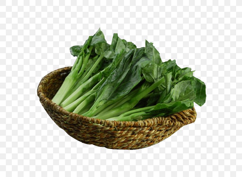 Chinese Broccoli Cabbage Brassica Juncea Rutabaga, PNG, 600x600px, Chinese Broccoli, Brassica, Brassica Juncea, Brassica Oleracea, Broccoli Download Free