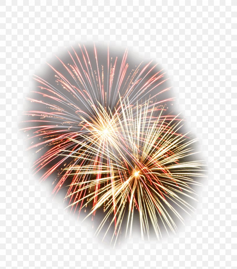 Fireworks New Year Clip Art Christmas Day Gift, PNG, 1107x1254px, 2014, Fireworks, Birthday, Celebrity, Christmas Day Download Free