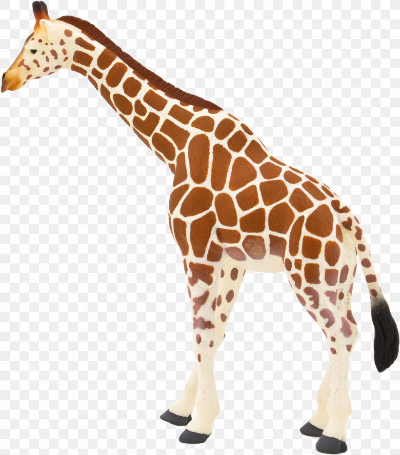 Giraffe Giraffidae Animal Figure Wildlife Snout, PNG, 2135x2430px, Giraffe, Animal Figure, Giraffidae, Neck, Snout Download Free