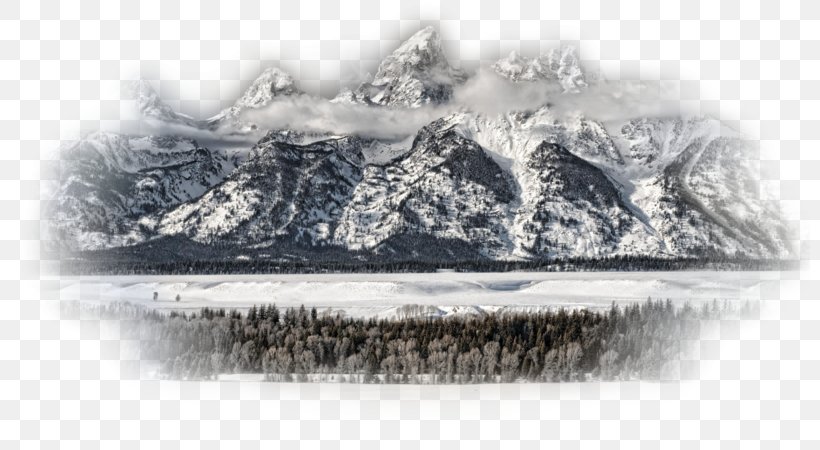 Grand Teton Yosemite National Park Desktop Wallpaper, PNG, 800x450px, Grand Teton, Black And White, Bryce Canyon National Park, Display Resolution, Forest Download Free