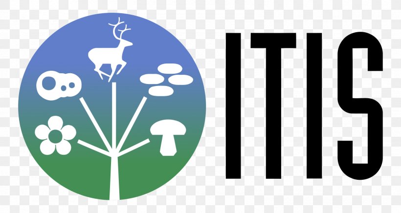 Information System Logo ITIS Nutrition, PNG, 1600x852px, Information, Biodiversity, Biodiversity Heritage Library, Brand, Cap Download Free