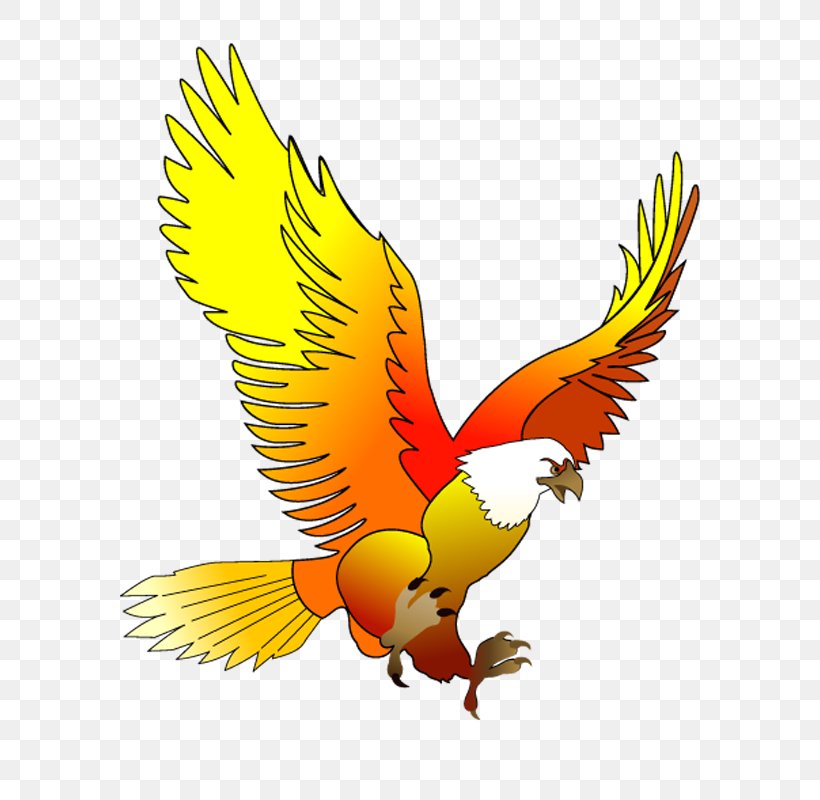 Android Application Package Eastern Kingbird Mobile App, PNG, 580x800px, Eastern Kingbird, Android, App Store, Beak, Bird Download Free
