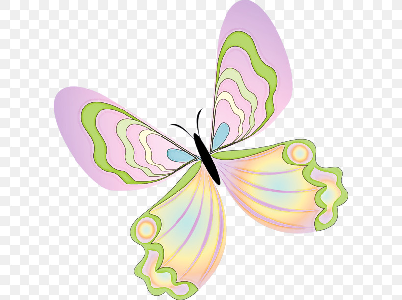 Butterfly Insect Pink Wing Moths And Butterflies, PNG, 600x611px, Butterfly, Insect, Moths And Butterflies, Pink, Pollinator Download Free