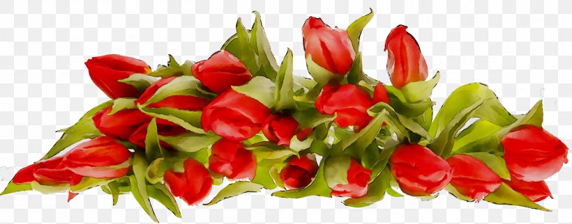 Holiday Birthday Daytime Victory Day Yandex, PNG, 2358x928px, Holiday, Birthday, Bouquet, Collective, Cut Flowers Download Free