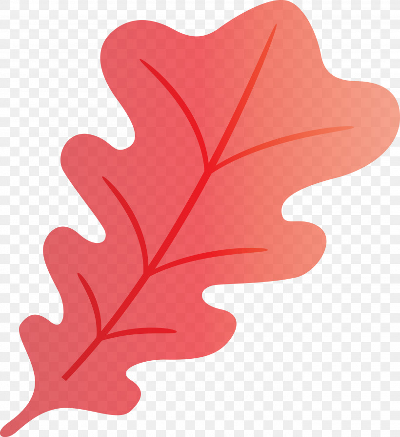 Oak Leaf, PNG, 2750x3000px, Oak Leaf, Biology, Flower, Heart, Leaf Download Free