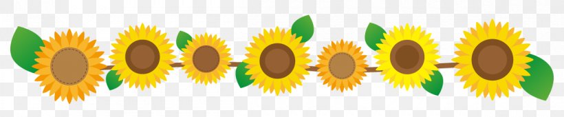 Sunflower Flower Line., PNG, 1200x250px, Common Sunflower, Commodity, Evenement, Flower, French Hydrangea Download Free