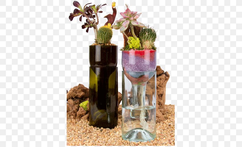 Wine Plants Beer Succulent Plant Bottle, PNG, 500x500px, Wine, Beer, Bottle, Bottle Garden, Cactus Download Free