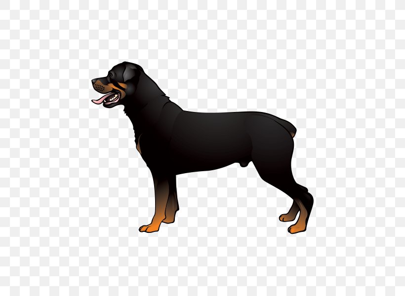 Boxer Australian Cattle Dog Rottweiler Jack Russell Terrier Cane Corso, PNG, 600x600px, Boxer, Australian Cattle Dog, Austrian Black And Tan Hound, Breed, Cane Corso Download Free