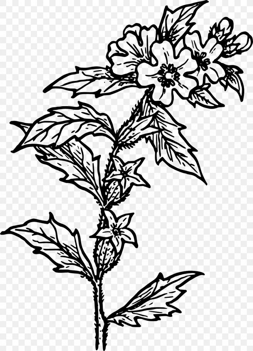 Flowers Background, PNG, 923x1280px, Line Art, Blackandwhite, Coloring Book, Cut Flowers, Drawing Download Free