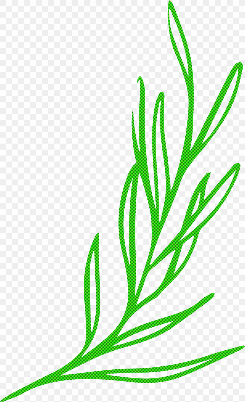 Leaf Plant Stem Branch Leaf Vegetable Grasses, PNG, 1835x3008px, Leaf, Biology, Branch, Grasses, Leaf Vegetable Download Free