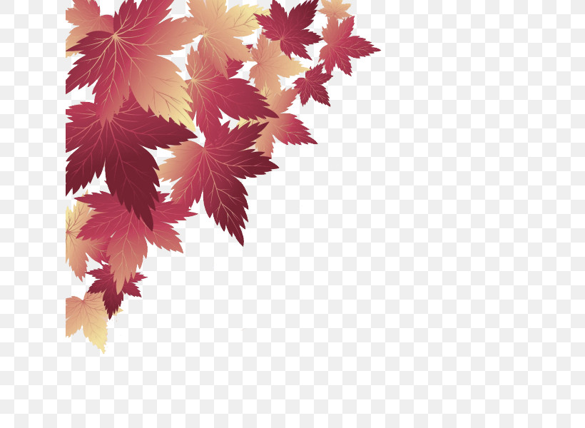 Maple Leaf, PNG, 636x600px, Leaf, Branch, Flower, Maple, Maple Leaf Download Free