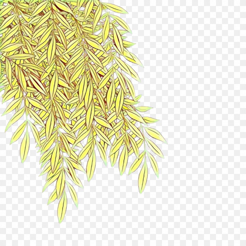Plant, PNG, 1024x1024px, Cartoon, Plant Download Free
