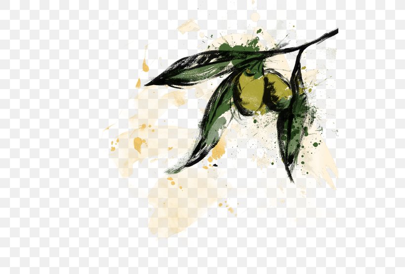 Desktop Wallpaper Olive Oil, PNG, 550x554px, Olive Oil, Artwork, Author, Branch, Computer Download Free