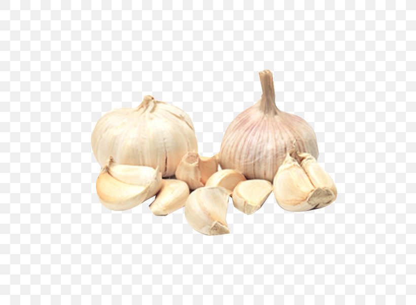 Elephant Garlic Yellow Onion Vegetable Shallot, PNG, 600x600px, Elephant Garlic, Antioxidant, Capsicum, Eggplant, Food Download Free