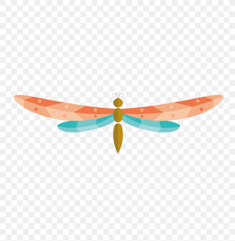 Euclidean Vector Download, PNG, 800x842px, Dragonfly, Computer Graphics, Gratis, Installation, Orange Download Free