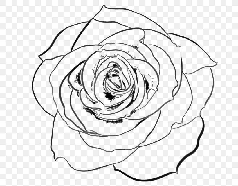 Line Art Garden Roses Drawing DeviantArt, PNG, 718x643px, Line Art, Art, Art Museum, Artwork, Black Download Free