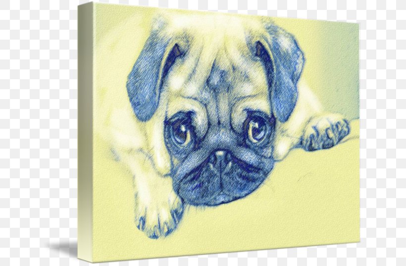 Pug Puppy Love Dog Breed Toy Dog, PNG, 650x537px, Pug, Breed, Carnivoran, Crossbreed, Dog Download Free