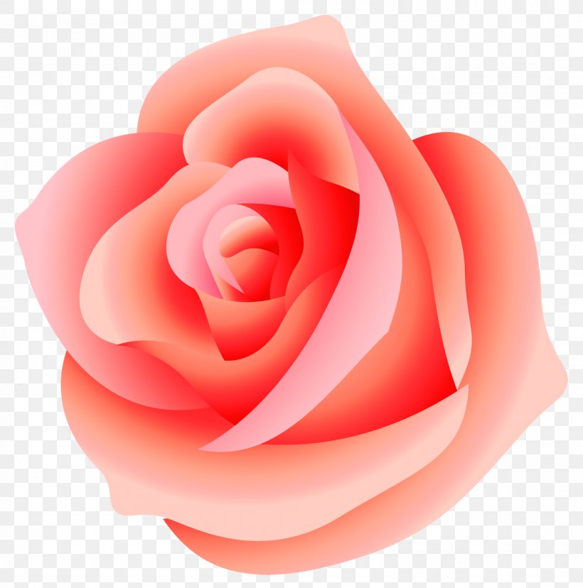 Rose Clip Art, PNG, 2000x2021px, Rose, Close Up, Flower, Flowering Plant, Garden Roses Download Free