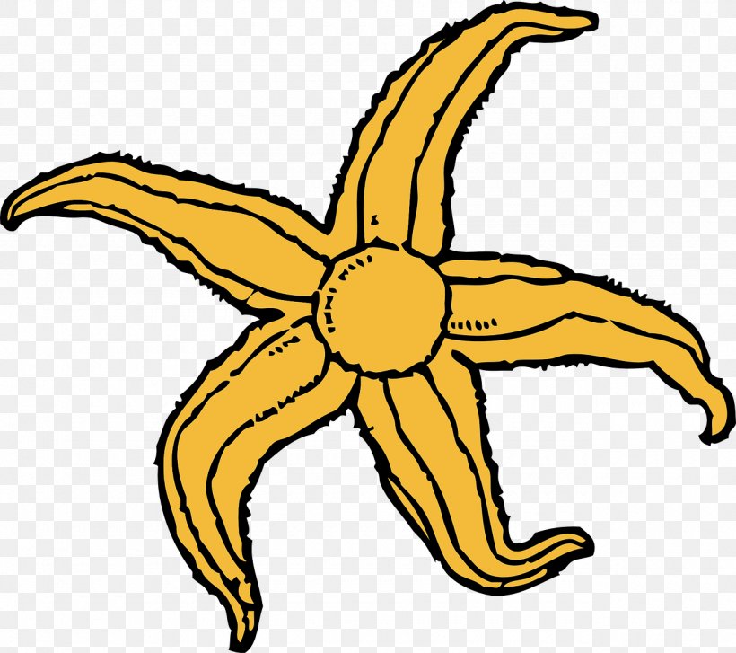 Starfish Drawing Clip Art, PNG, 1280x1136px, Starfish, Artwork, Black And White, Color, Drawing Download Free