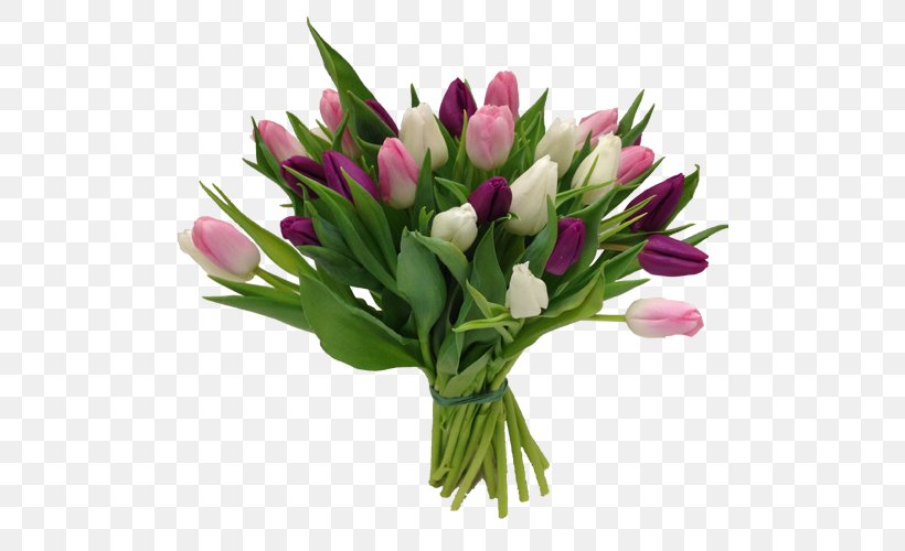 Tulip Olles Blommor AB Cut Flowers Flower Bouquet, PNG, 500x500px, Tulip, Color, Cut Flowers, Floral Design, Floristry Download Free