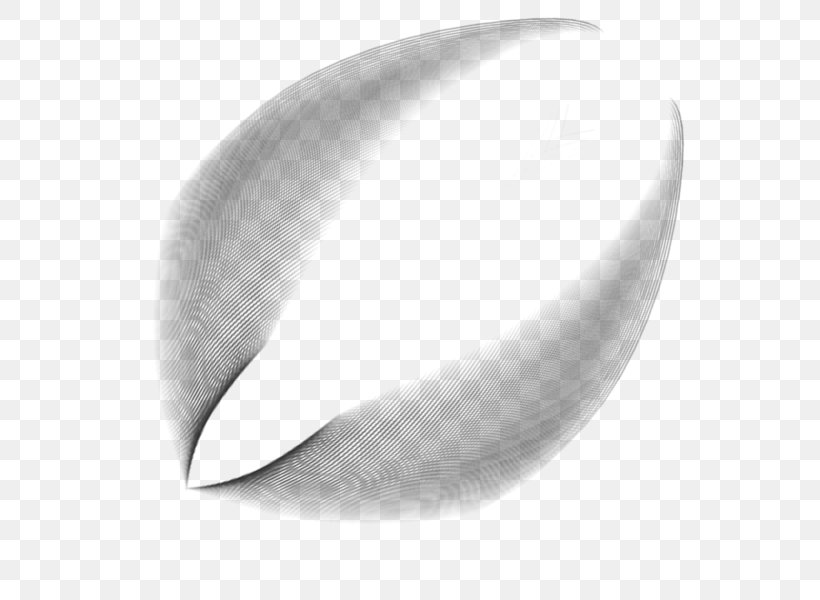 Angle White, PNG, 638x600px, White, Black And White, Wing Download Free