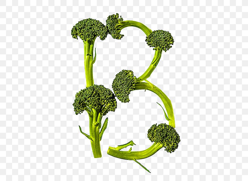 Broccoli Food Vegetable Alphabet Cauliflower, PNG, 449x600px, Broccoli, Alphabet, Cauliflower, Flowerpot, Food Download Free