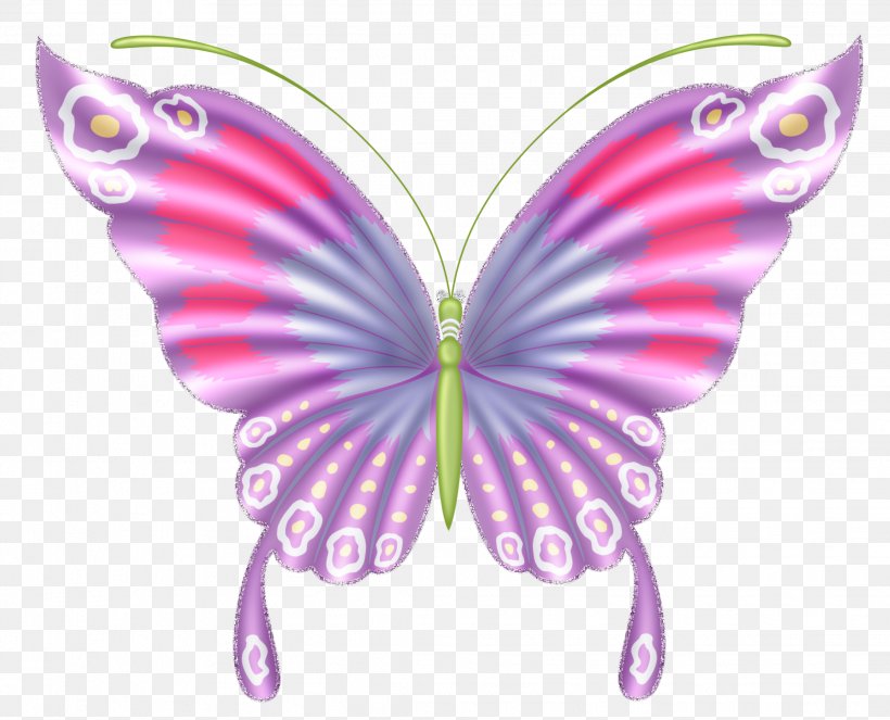 Butterfly Moth Insect Clip Art, PNG, 2236x1808px, Butterfly, Arthropod, Brush Footed Butterfly, Butterflies And Moths, Caterpillar Download Free