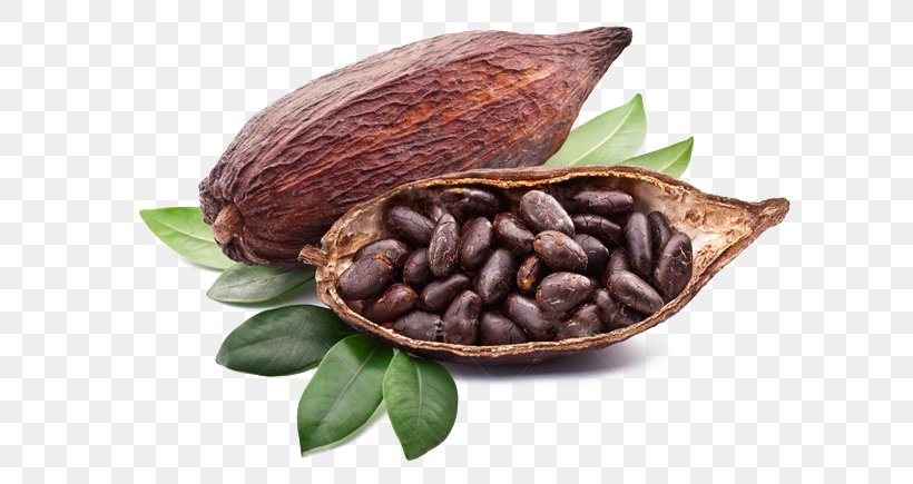 Chocolate Bar Cocoa Bean Cocoa Solids Chocolate Liquor, PNG, 618x435px, Chocolate Bar, Bean, Cacao Tree, Chocolate, Chocolate Liquor Download Free