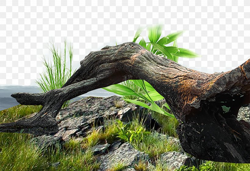 Tree Stump Trunk Euclidean Vector, PNG, 2500x1714px, Tree Stump, Concepteur, Fauna, Grass, Gratis Download Free
