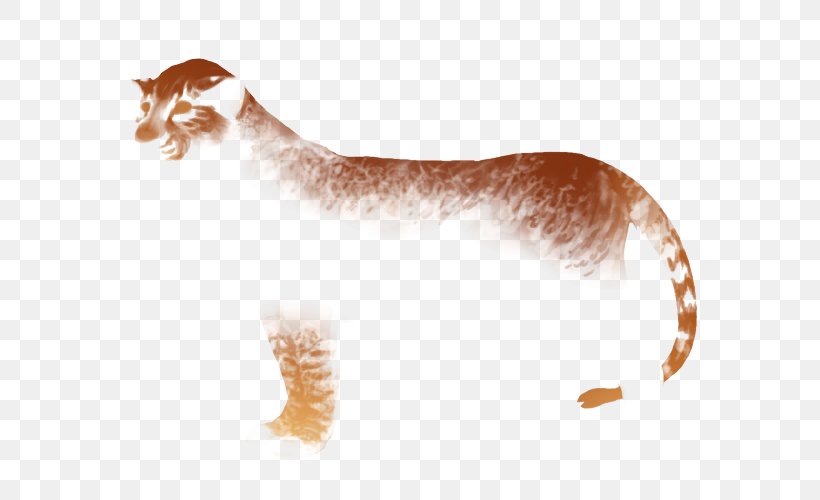 Whiskers Kitten Cat Paw Mammal, PNG, 640x500px, Whiskers, Arm, Big Cat, Big Cats, Canidae Download Free