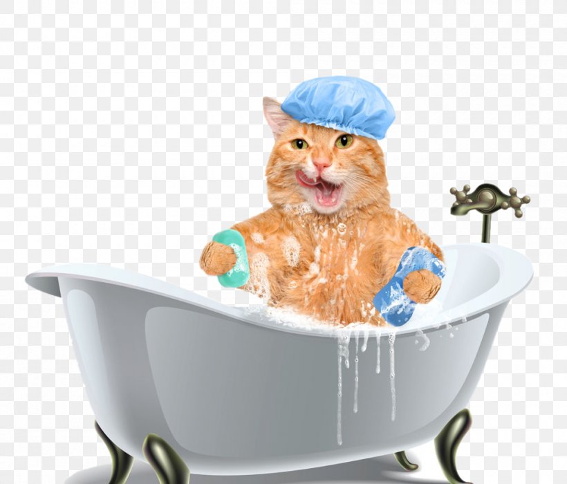 Cat Dog Kitten Shampoo Bathing, PNG, 1000x854px, Cat, Bathing, Bathtub, Dog, Hair Download Free
