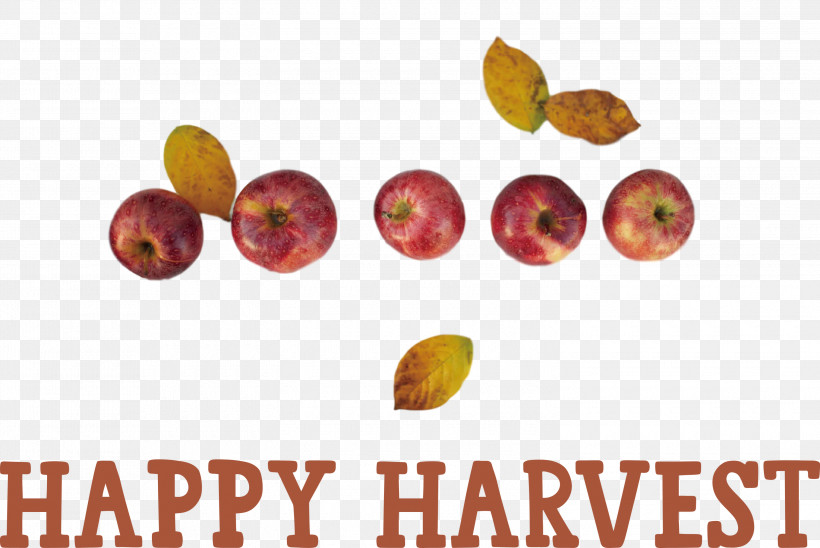 Happy Harvest Harvest Time, PNG, 3000x2008px, Happy Harvest, Bonney Lake, Enumclaw, Fruit Tree, Fruit Tree Pruning Download Free