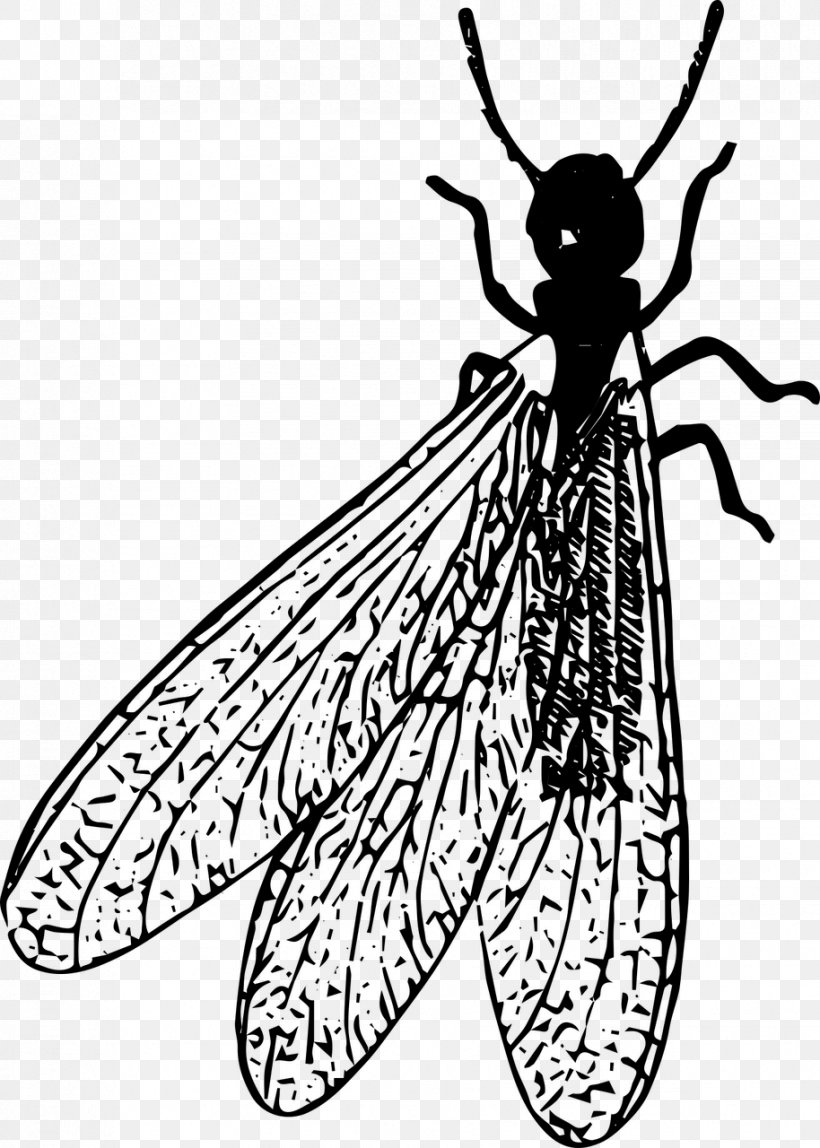 Honey Bee Insect Termite Clip Art, PNG, 914x1280px, Honey Bee, Animal, Arthropod, Artwork, Bee Download Free