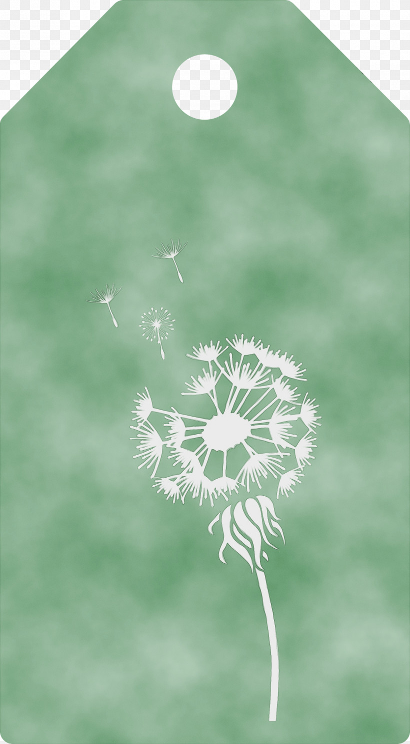 Leaf Green Close-up Flower Plant Structure, PNG, 1655x3000px, Dandelion Tag, Biology, Closeup, Flower, Green Download Free