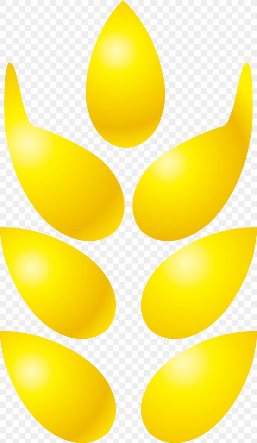 Wheat, PNG, 1641x2827px, Wheat, Commodity, Designer, Fruit, Yellow Download Free