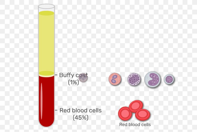 Buffy Coat Red Blood Cell Blood Plasma White Blood Cell, PNG, 666x550px, Buffy Coat, Blood, Blood Cell, Blood Film, Blood Plasma Download Free