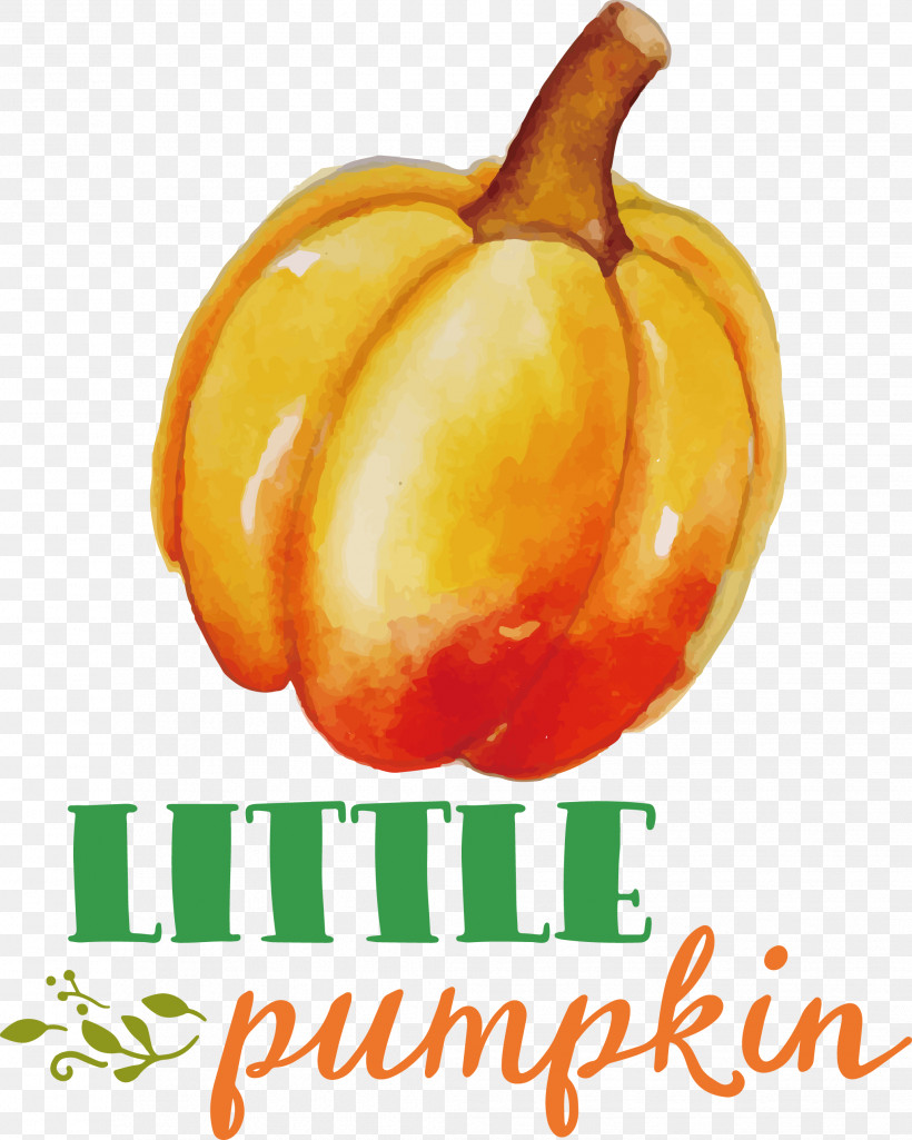 Little Pumpkin Thanksgiving Autumn, PNG, 2063x2580px, Little Pumpkin, Autumn, Chili Pepper, Fruit, Habanero Download Free