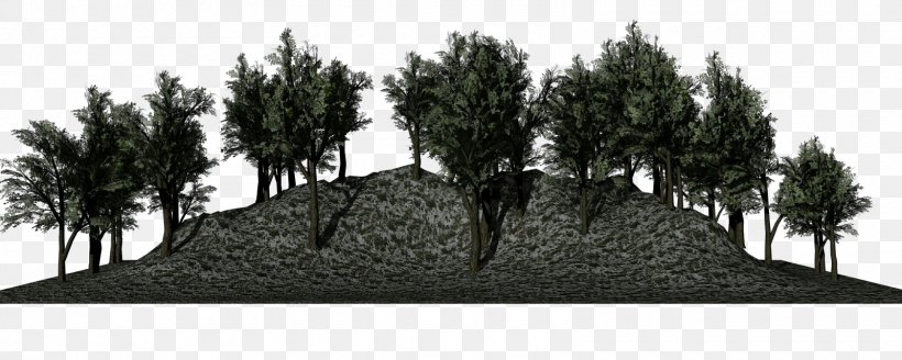 Tree Black-and-white Woody Plant Land Lot Plant, PNG, 1600x640px, Tree, Blackandwhite, Grass, Land Lot, Landscape Download Free