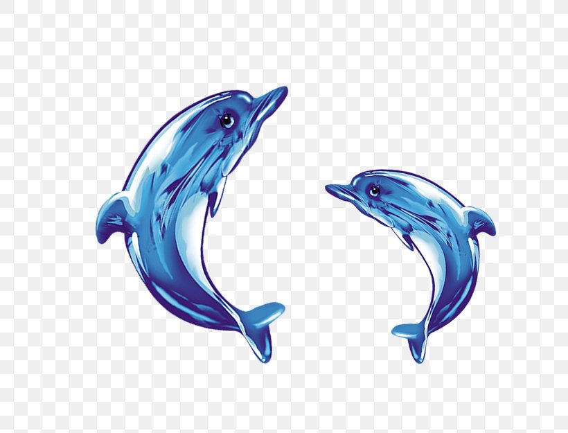 Common Bottlenose Dolphin Short-beaked Common Dolphin Tucuxi Glass, PNG, 666x625px, Common Bottlenose Dolphin, Blue, Cobalt Blue, Crystal, Dolphin Download Free