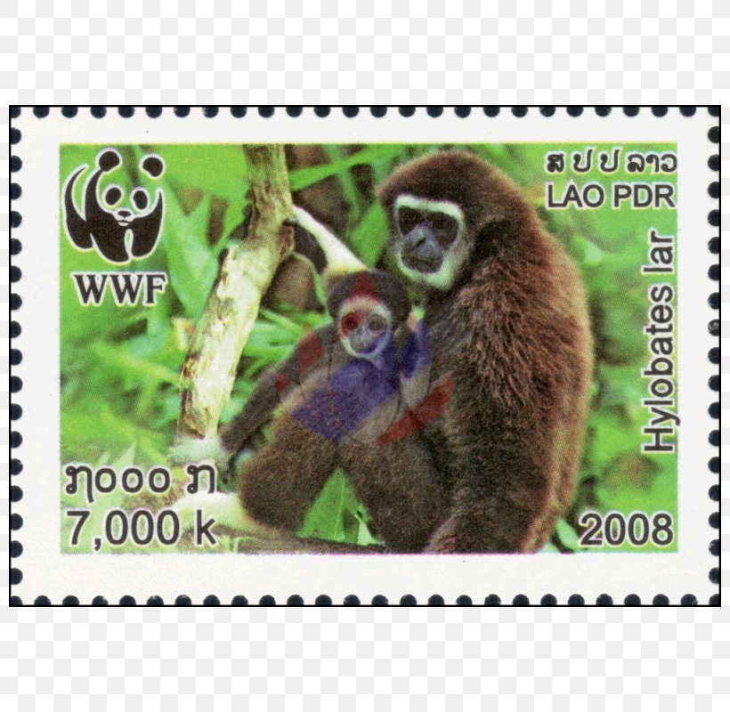 Monkey Postage Stamps Mail Laos Burma, PNG, 800x800px, Monkey, Bulletin Board, Burma, Fauna, Gibbon Download Free