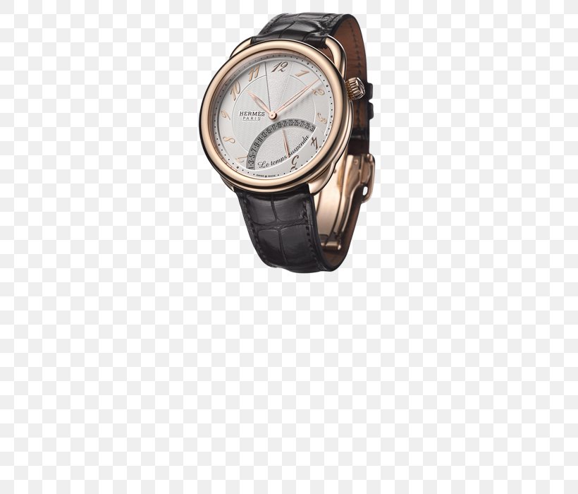 Watch Strap Frojo Marseille Hermès Tudor Watches, PNG, 700x700px, Watch, Calendar Date, Clothing Accessories, Gold, Handball Download Free