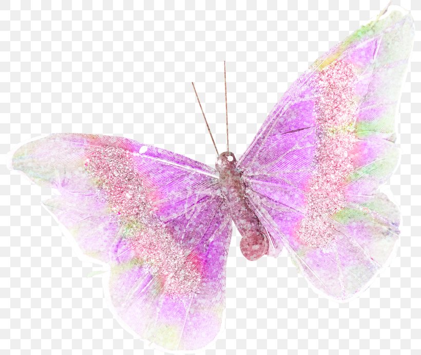 Butterfly Purple Lilac, PNG, 800x691px, Butterfly, Essential Oil, Google Images, Insect, Invertebrate Download Free