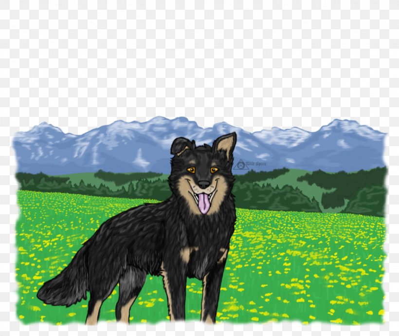 Dog Breed Obedience Training Razas Nativas Vulnerables Obedience Trial, PNG, 974x820px, Dog, Breed, Dog Breed, Dog Breed Group, Dog Like Mammal Download Free