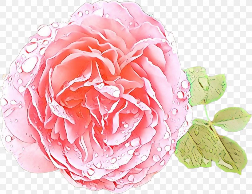Pink Flower Cartoon, PNG, 1018x785px, Garden Roses, Artificial Flower, Cabbage Rose, Camellia, Chinese Peony Download Free
