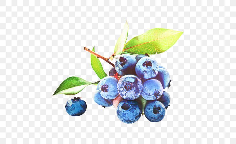 Tea Tree, PNG, 500x500px, Blueberry, American Muffins, Berries, Berry, Bilberry Download Free